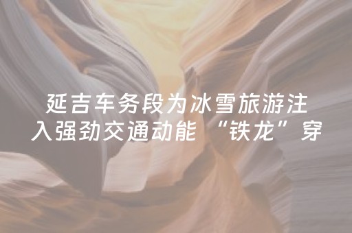 延吉车务段为冰雪旅游注入强劲交通动能 “铁龙”穿雪海 温暖八方客