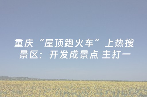 实测分享“广东手机麻将助赢神器”（详细透视教程）-哔哩哔哩