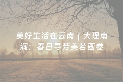 必看教程“微信雀神广东麻雀小程序辅助（专用辅牌神器免安装）