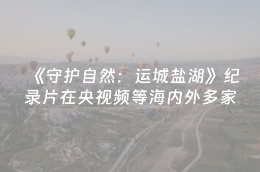 实测结果“牵手跑胡子外挂怎么装”（详细透视教程）-哔哩哔哩