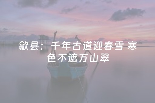 今日盘点“手机斗地主包赢软件”（详细透视教程）-哔哩哔哩