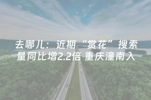 终于发现了“微乐手机麻将怎么让系统给你发好牌（助赢神器通用版）