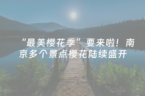 “最美樱花季”要来啦！南京多个景点樱花陆续盛开