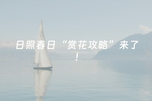 2分钟秒懂！“手机打麻将能赢的设备”（详细开挂教程）-哔哩哔哩