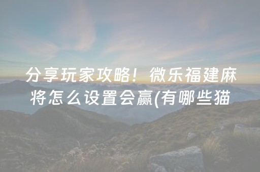 分享玩家攻略！微乐福建麻将怎么设置会赢(有哪些猫腻)