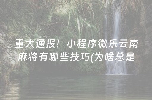新版本“微信手机微信网页红包扫雷埋雷控制尾数”（详细透视教程）-哔哩哔哩