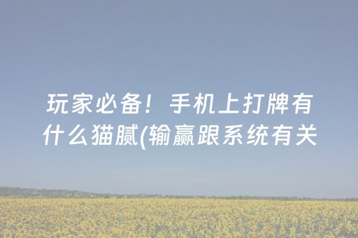 玩家必备！手机上打牌有什么猫腻(输赢跟系统有关系吗)