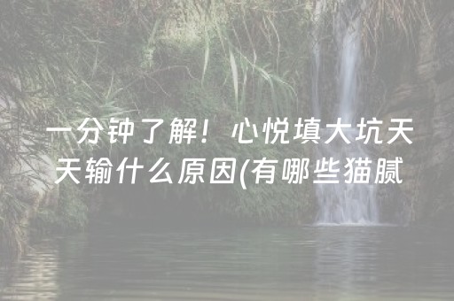 玩家必看教程！“手机打扑克牌外挂揭秘”（详细透视教程）-哔哩哔哩