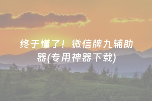 终于懂了！微信牌九辅助器(专用神器下载)