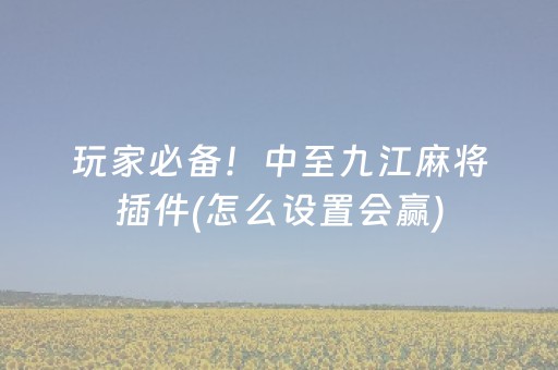 玩家必备！中至九江麻将插件(怎么设置会赢)