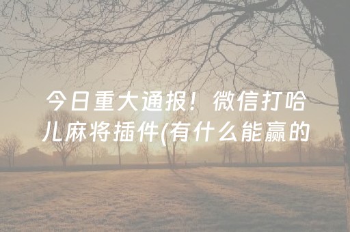 今日重大通报！微信打哈儿麻将插件(有什么能赢的方法)