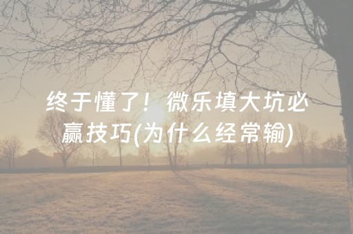 终于懂了！微乐填大坑必赢技巧(为什么经常输)