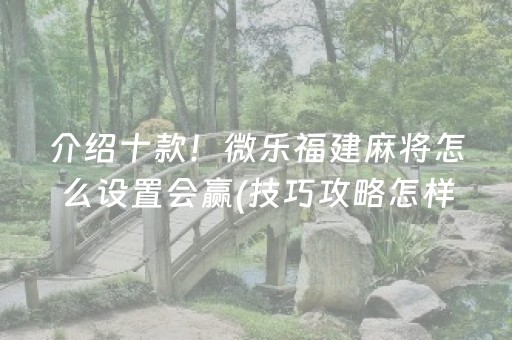 介绍十款！微乐福建麻将怎么设置会赢(技巧攻略怎样拿好牌)