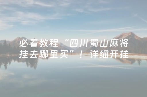 必看教程“四川蜀山麻将挂去哪里买”！详细开挂教程（确实真的有挂)-抖音