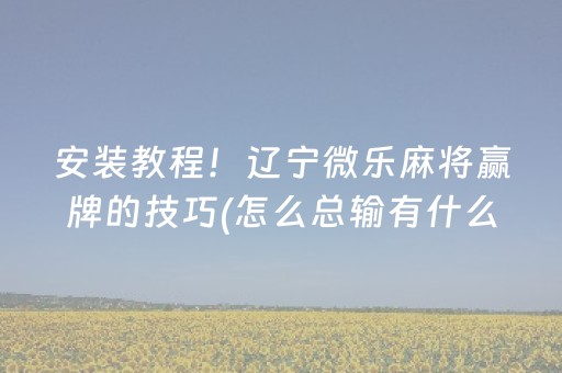 安装教程！辽宁微乐麻将赢牌的技巧(怎么总输有什么猫腻)