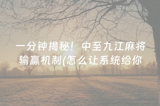 一分钟揭秘！中至九江麻将输赢机制(怎么让系统给你发好牌)