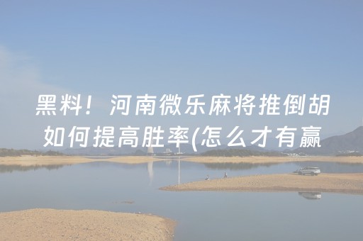 黑料！河南微乐麻将推倒胡如何提高胜率(怎么才有赢的几率)