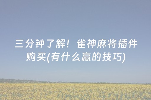 三分钟了解！雀神麻将插件购买(有什么赢的技巧)