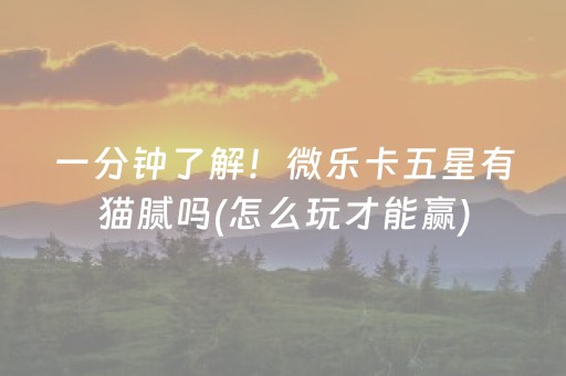 一分钟了解！微乐卡五星有猫腻吗(怎么玩才能赢)