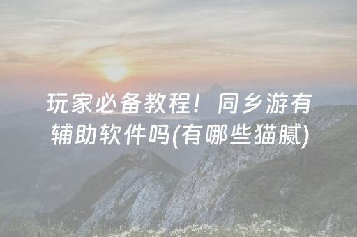 玩家必备教程！同乡游有辅助软件吗(有哪些猫腻)