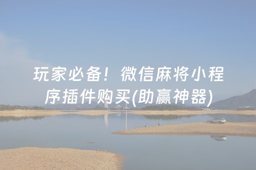 分享辅助“程序麻将app下载安装（专用辅牌神器免安装）