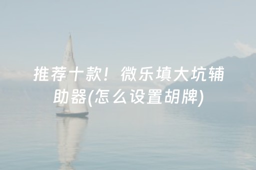 推荐十款！微乐填大坑辅助器(怎么设置胡牌)