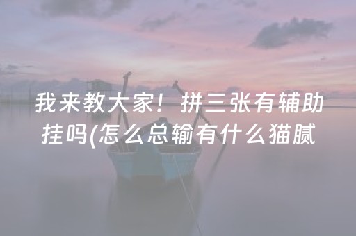 我来教大家！拼三张有辅助挂吗(怎么总输有什么猫腻)