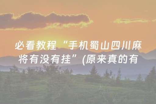 必看教程“手机蜀山四川麻将有没有挂”(原来真的有挂)-抖音