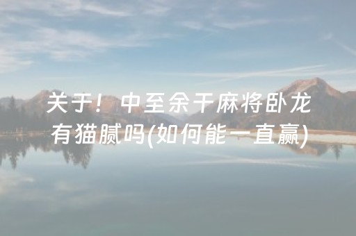 关于！中至余干麻将卧龙有猫腻吗(如何能一直赢)