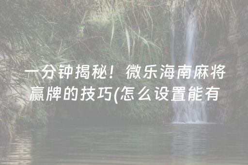 一分钟揭秘！微乐海南麻将赢牌的技巧(怎么设置能有好牌)