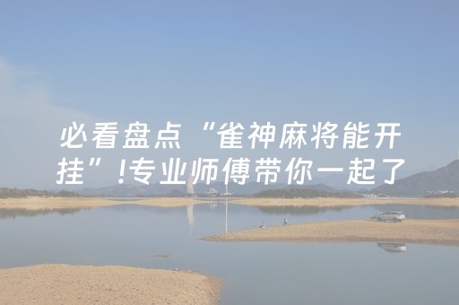 必看盘点“雀神麻将能开挂”!专业师傅带你一起了解（详细教程）-抖音