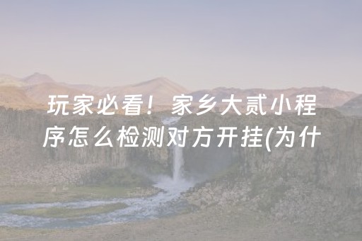 玩家必看！家乡大贰小程序怎么检测对方开挂(为什么老是输呢)