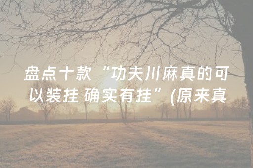 盘点十款“功夫川麻真的可以装挂 确实有挂”(原来真的有挂)-抖音