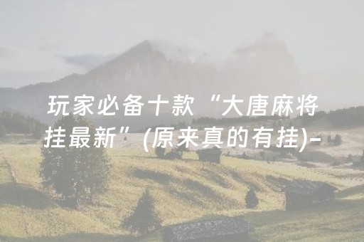 玩家必备十款“大唐麻将挂最新”(原来真的有挂)-抖音