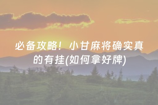 必备攻略！小甘麻将确实真的有挂(如何拿好牌)