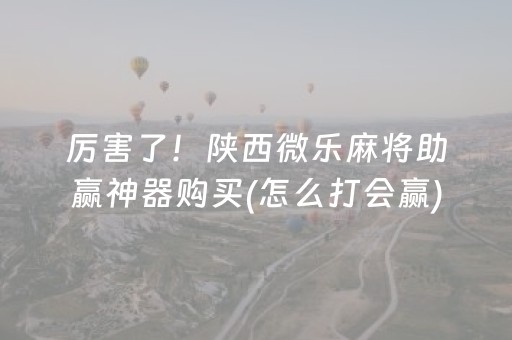 厉害了！陕西微乐麻将助赢神器购买(怎么打会赢)