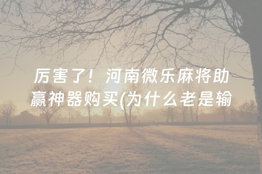 厉害了！河南微乐麻将助赢神器购买(为什么老是输呢)