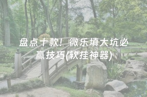 盘点十款！微乐填大坑必赢技巧(软挂神器)