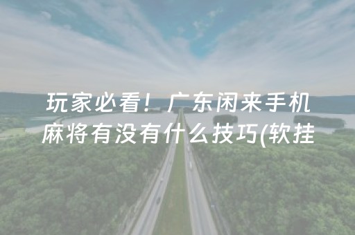 玩家必看！广东闲来手机麻将有没有什么技巧(软挂神器)