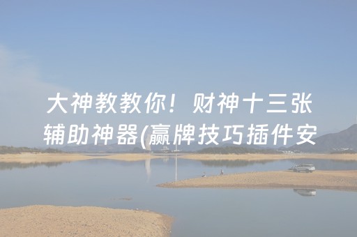 大神教教你！财神十三张辅助神器(赢牌技巧插件安装)