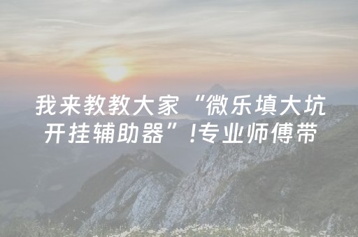 我来教教大家“微乐填大坑开挂辅助器”!专业师傅带你一起了解（详细教程）-抖音