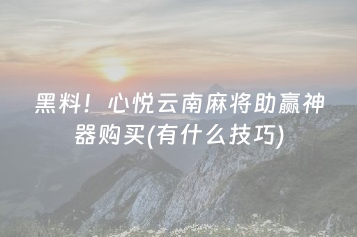 黑料！心悦云南麻将助赢神器购买(有什么技巧)