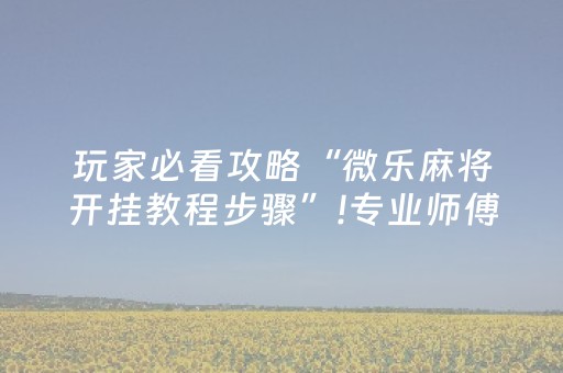 实测分享“心悦麻将看牌工具”（详细透视教程）-哔哩哔哩