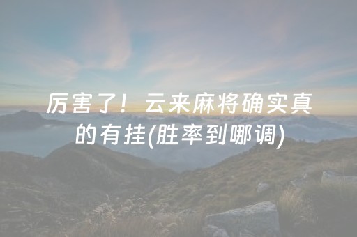 厉害了！云来麻将确实真的有挂(胜率到哪调)