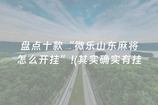 盘点十款“微乐山东麻将怎么开挂”!(其实确实有挂)-抖音