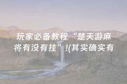 玩家必备教程“楚天游麻将有没有挂”!(其实确实有挂)-抖音