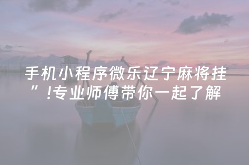 手机小程序微乐辽宁麻将挂”!专业师傅带你一起了解（详细教程）-抖音