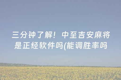 三分钟了解！中至吉安麻将是正经软件吗(能调胜率吗)