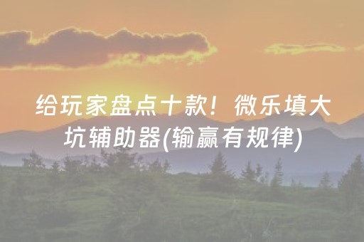 给玩家盘点十款！微乐填大坑辅助器(输赢有规律)