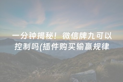 一分钟揭秘！微信牌九可以控制吗(插件购买输赢规律)